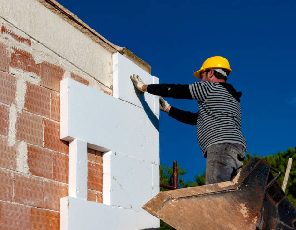 Best Fiberglass Insulation  in Lexington, NE