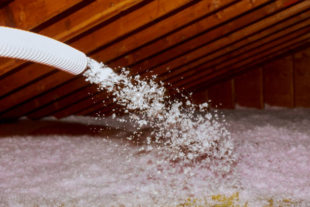 Best Cellulose Insulation  in Lexington, NE