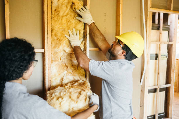 Best Insulation Replacement Services  in Lexington, NE