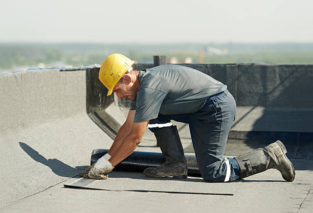 Best Spray Foam Insulation  in Lexington, NE