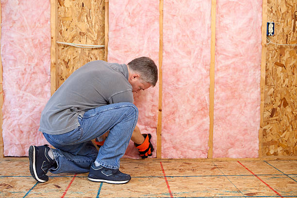 Best Insulation Contractor Near Me  in Lexington, NE