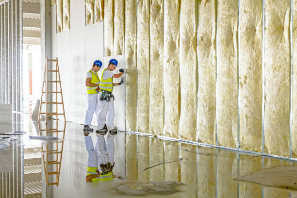 Insulation Repair Services in Lexington, NE